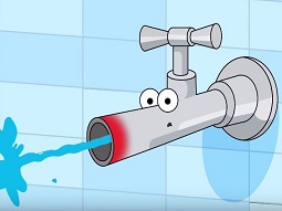 הפקת-סרטון-אנימציה-לפרוביד