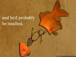 הפקת סרטוני תדמית באנימציה - וידאו הד