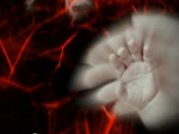 סרט-תדמית-לעמותת-נאמן