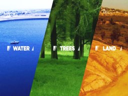 סרט-תדמית-לקרן-קיימת-לישראל.