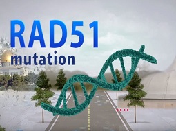 הפקת סרטון לקרן מחקר הסרטן